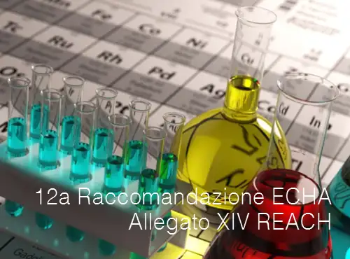 12a Raccomandazione ECHA - Sostanze soggette ad autorizzazione Allegato XIV REACH